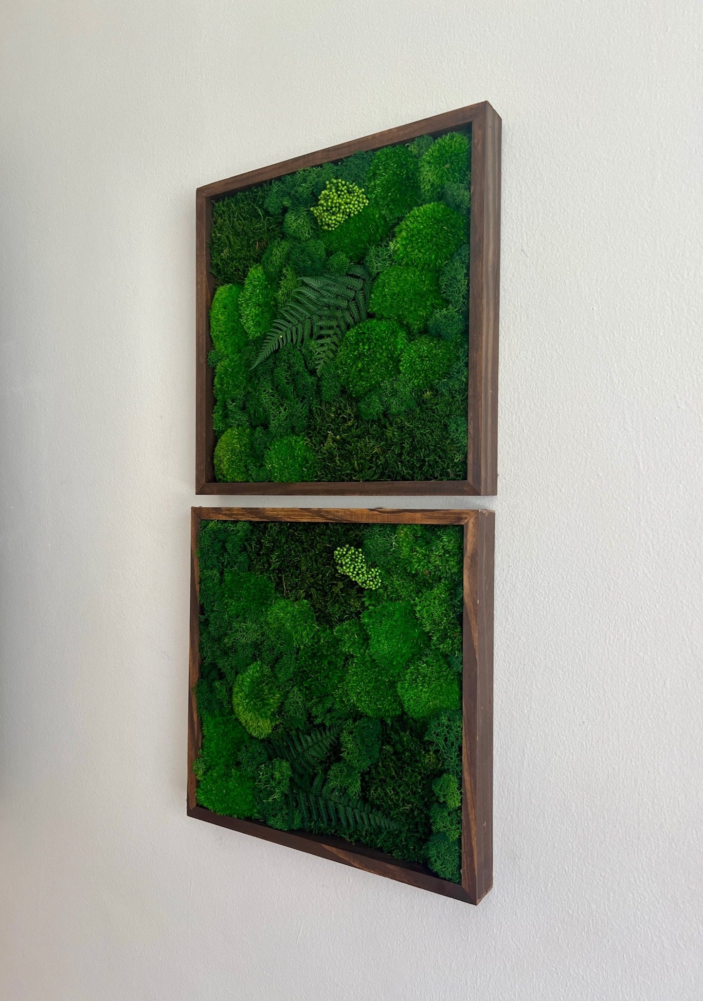 Preserved Moss Wall Art: Framed Reindeer Moss with Fern | USA - TARIFF FREE