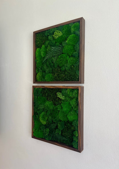 Preserved Moss Wall Art: Framed Reindeer Moss with Fern | USA - TARIFF FREE