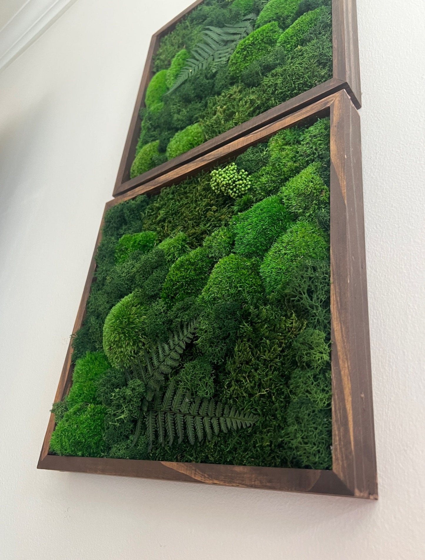Preserved Moss Wall Art: Framed Reindeer Moss with Fern | USA - TARIFF FREE