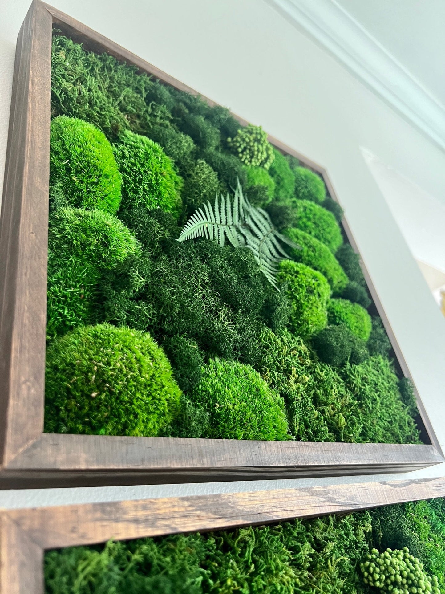 Preserved Moss Wall Art: Framed Reindeer Moss with Fern | USA - TARIFF FREE