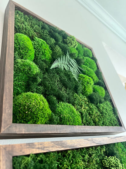 Preserved Moss Wall Art: Framed Reindeer Moss with Fern | USA - TARIFF FREE