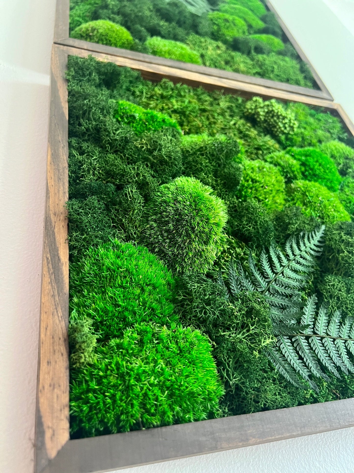 Preserved Moss Wall Art: Framed Reindeer Moss with Fern | USA - TARIFF FREE