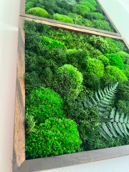 Preserved Moss Wall Art: Framed Reindeer Moss with Fern | USA - TARIFF FREE