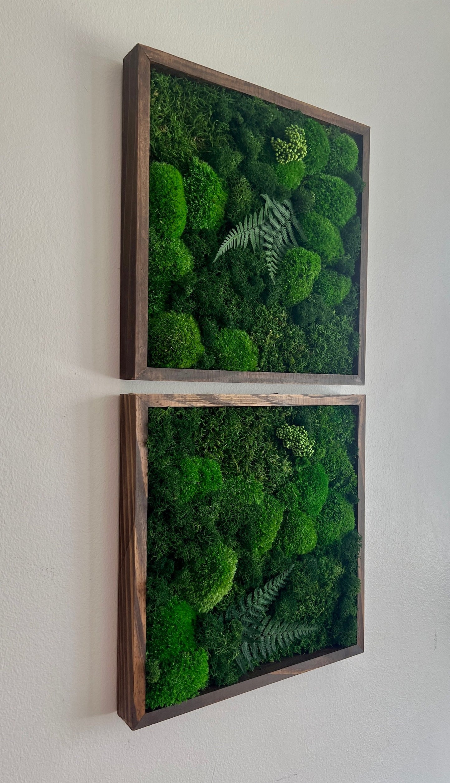 Preserved Moss Wall Art: Framed Reindeer Moss with Fern | USA - TARIFF FREE