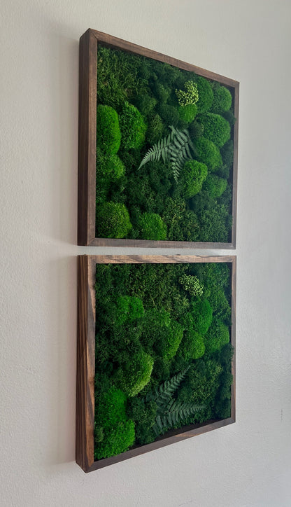 Preserved Moss Wall Art: Framed Reindeer Moss with Fern | USA - TARIFF FREE