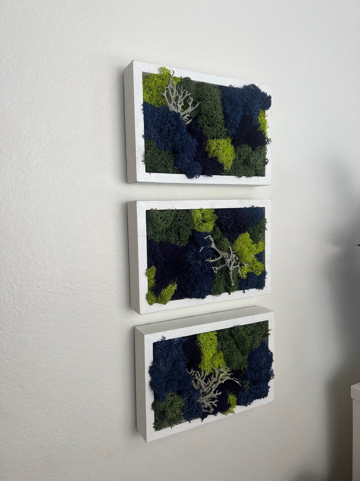Preserved Moss Wall Art: Framed Reindeer Moss, Blue Purple Green | USA - TARIFF FREE