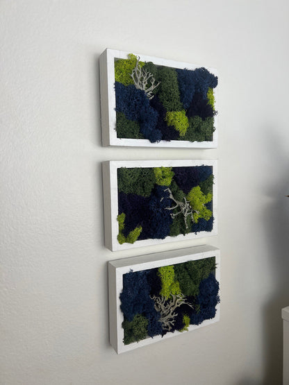 Preserved Moss Wall Art: Framed Reindeer Moss, Blue Purple Green | USA - TARIFF FREE