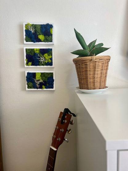 Preserved Moss Wall Art: Framed Reindeer Moss, Blue Purple Green | USA - TARIFF FREE