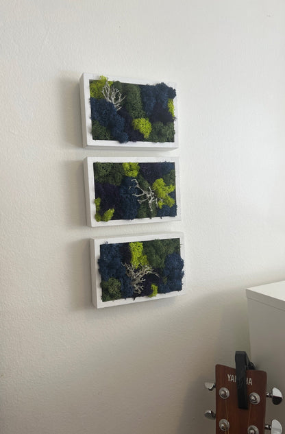 Preserved Moss Wall Art: Framed Reindeer Moss, Blue Purple Green | USA - TARIFF FREE