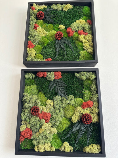 Preserved Moss Wall Art: Square Frame with Flowers & Fern | USA - TARIFF FREE
