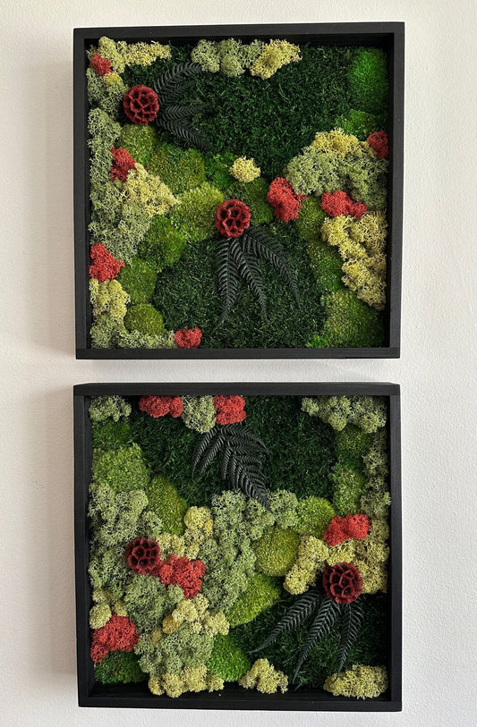 Moss Wall Art | Preserved Moss Framed | Moss Wall Decor | Square Frame | Pole Moss with Preserved Flowers, Fern with Reindeer Moss