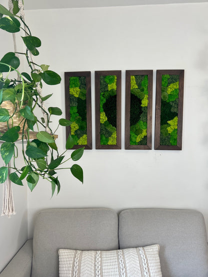 Preserved Reindeer Moss Wall Art: 24” x 8” Wood Frame | USA - TARIFF FREE