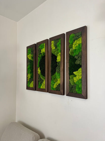 Preserved Reindeer Moss Wall Art: 24” x 8” Wood Frame | USA - TARIFF FREE