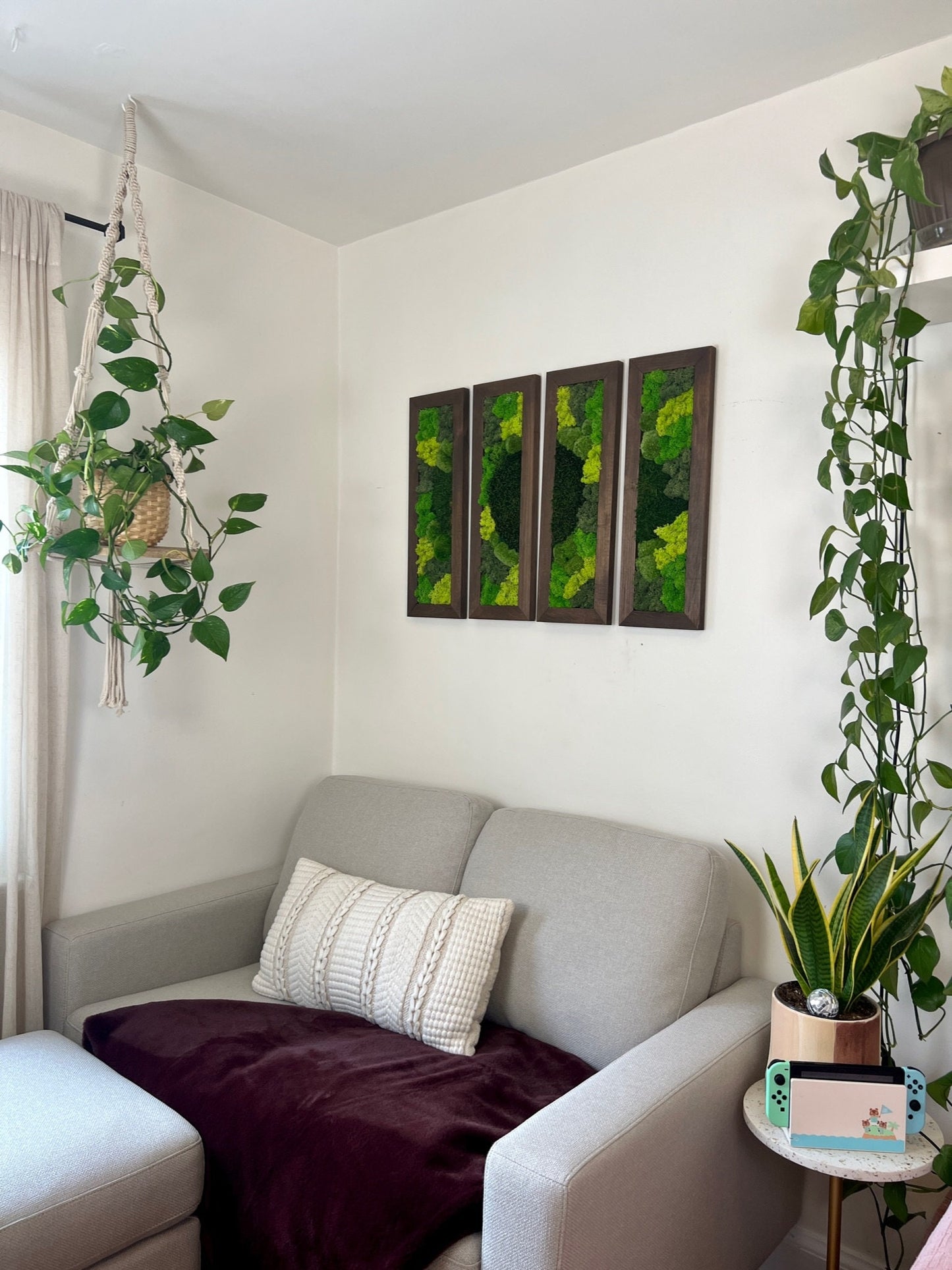 Preserved Reindeer Moss Wall Art: 24” x 8” Wood Frame | USA - TARIFF FREE