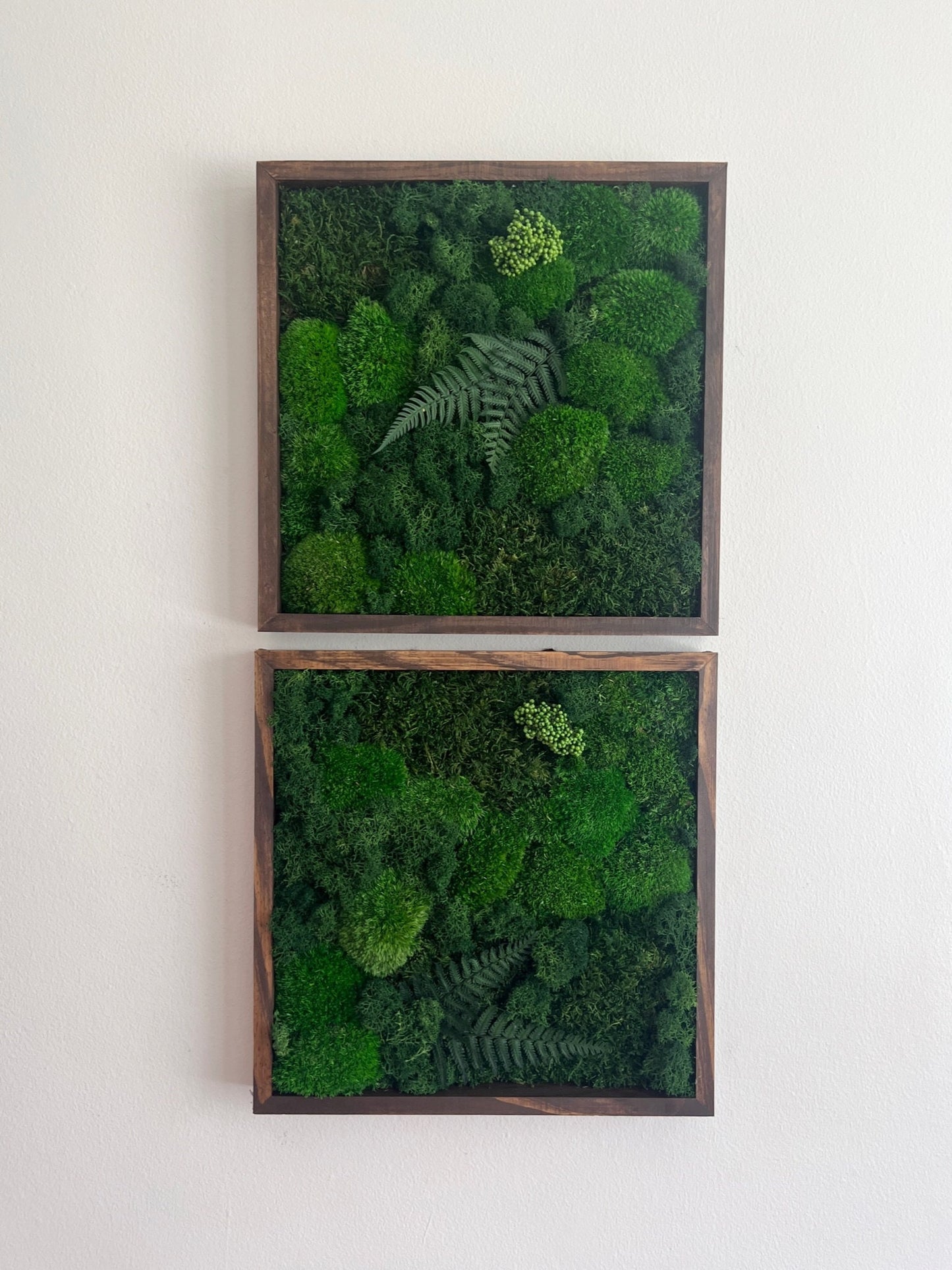 Preserved Moss Wall Art: Framed Reindeer Moss with Fern | USA - TARIFF FREE