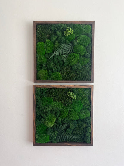 Preserved Moss Wall Art: Framed Reindeer Moss with Fern | USA - TARIFF FREE