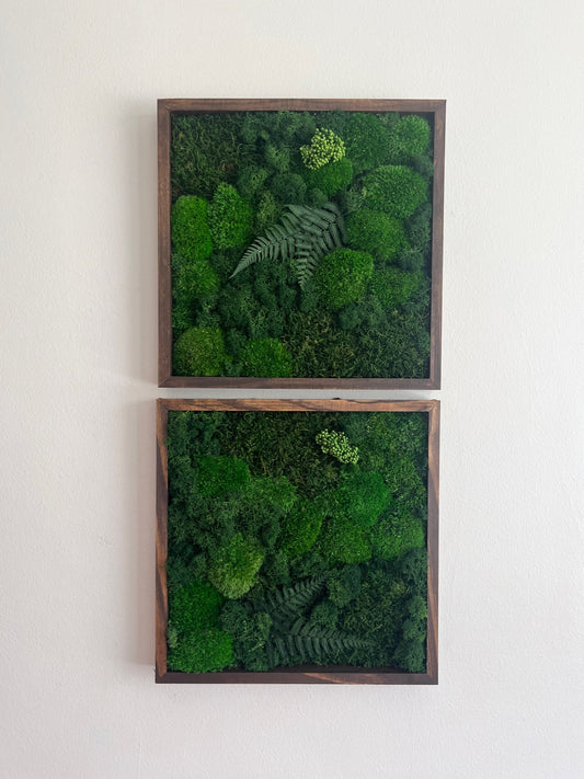 Preserved Moss Wall Art: Framed Reindeer Moss with Fern | USA - TARIFF FREE