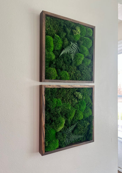 Preserved Moss Wall Art: Framed Reindeer Moss with Fern | USA - TARIFF FREE