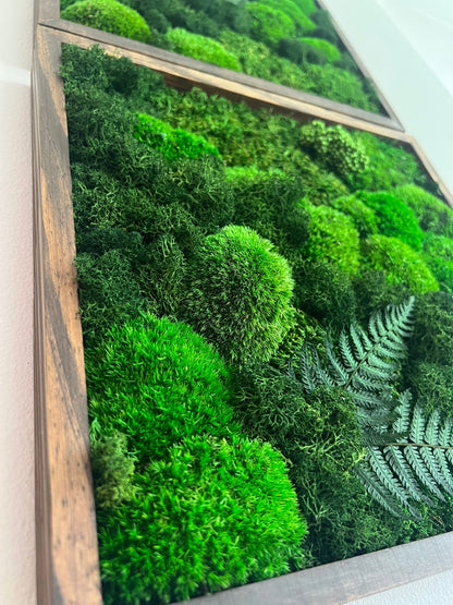 Preserved Moss Wall Art: Framed Reindeer Moss with Fern | USA - TARIFF FREE
