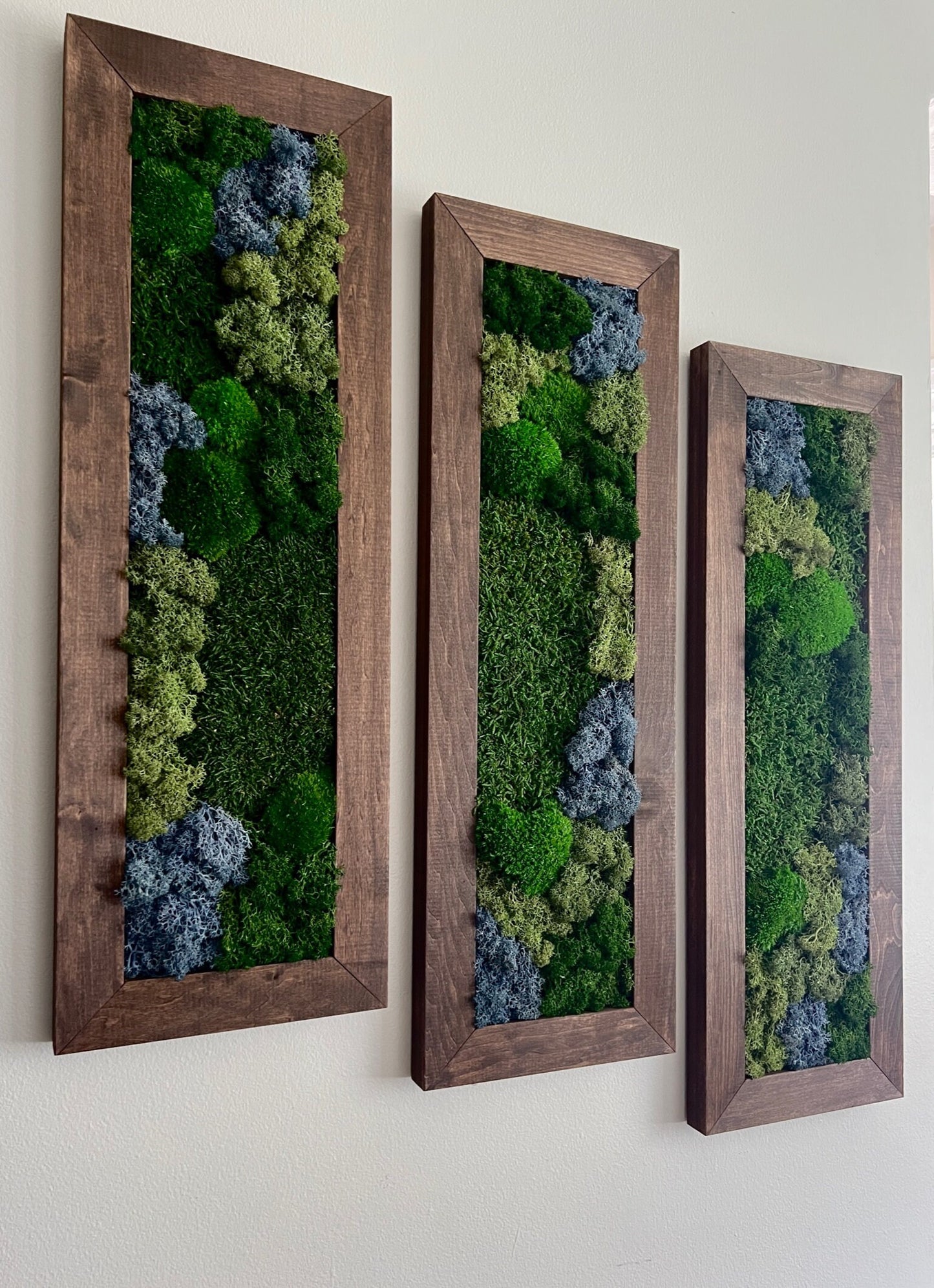 Framed Preserved Moss Wall Art: Reindeer & Pole Moss Set | USA - TARIFF FREE
