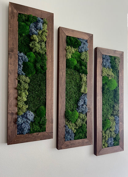Framed Preserved Moss Wall Art: Reindeer & Pole Moss Set | USA - TARIFF FREE