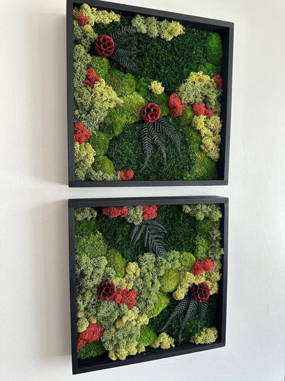 Moss Wall Art | Preserved Moss Framed | Moss Wall Decor | Square Frame | Pole Moss with Preserved Flowers, Fern with Reindeer Moss