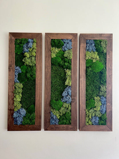 Framed Preserved Moss Wall Art: Reindeer & Pole Moss Set | USA - TARIFF FREE