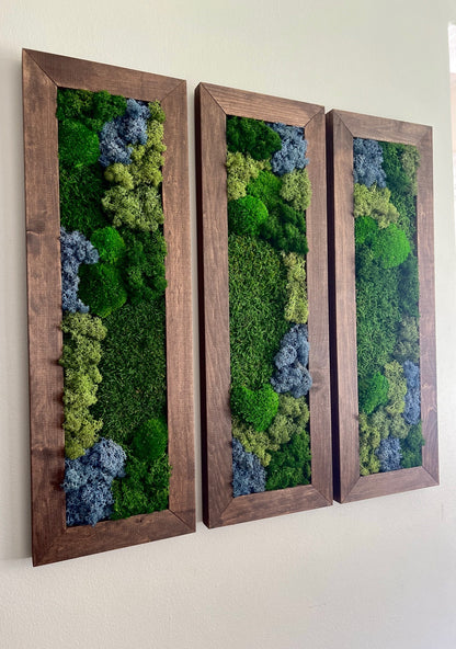 Framed Preserved Moss Wall Art: Reindeer & Pole Moss Set | USA - TARIFF FREE