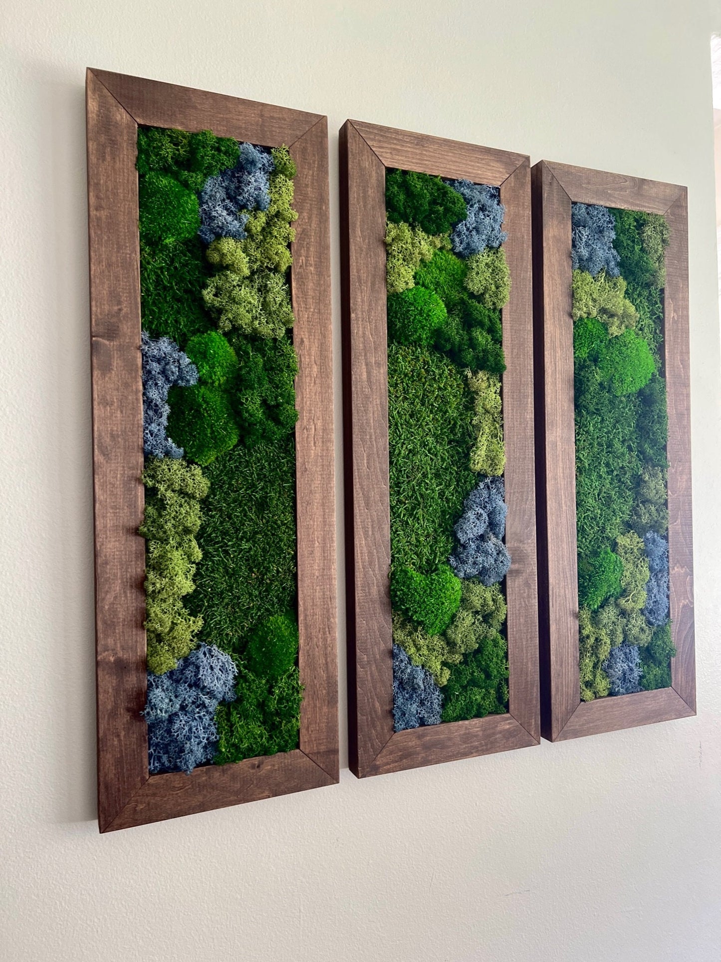 Framed Preserved Moss Wall Art: Reindeer & Pole Moss Set | USA - TARIFF FREE