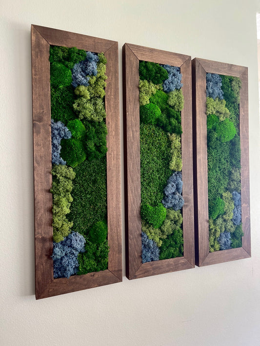 Framed Preserved Moss Wall Art: Reindeer & Pole Moss Set | USA - TARIFF FREE