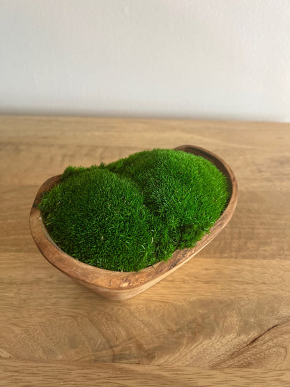 Preserved Pole Moss Centerpiece | Olive Wood Bowl, Home Decor