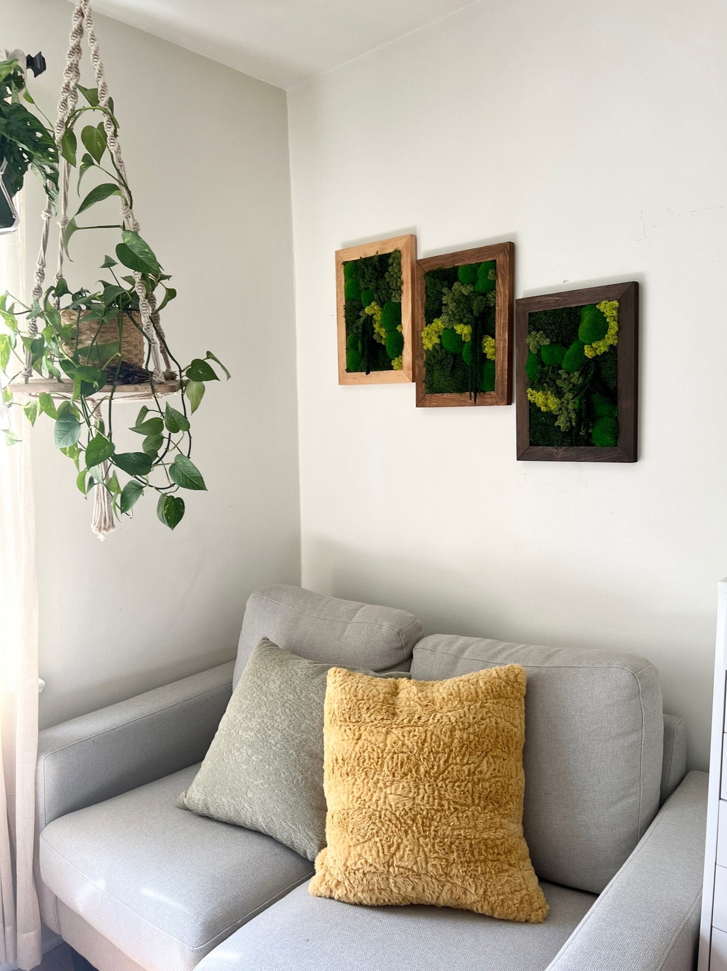 Preserved Reindeer Moss Wall Art: Rectangle Wood Frame (12x16) | USA - TARIFF FREE