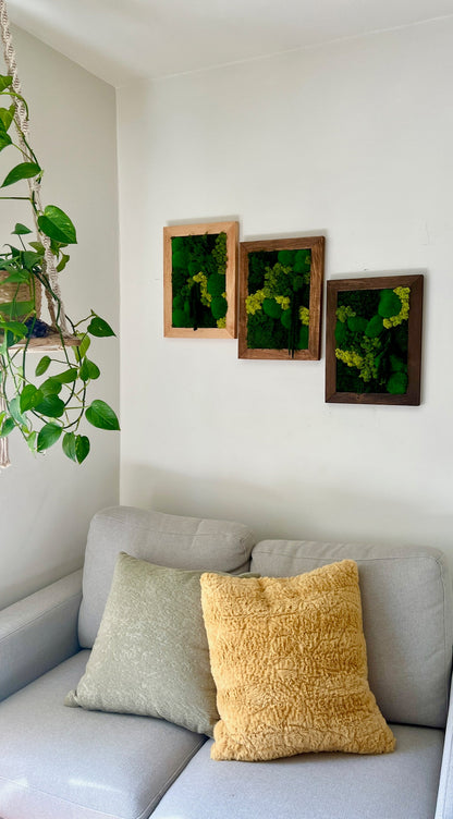 Preserved Reindeer Moss Wall Art: Rectangle Wood Frame (12x16) | USA - TARIFF FREE