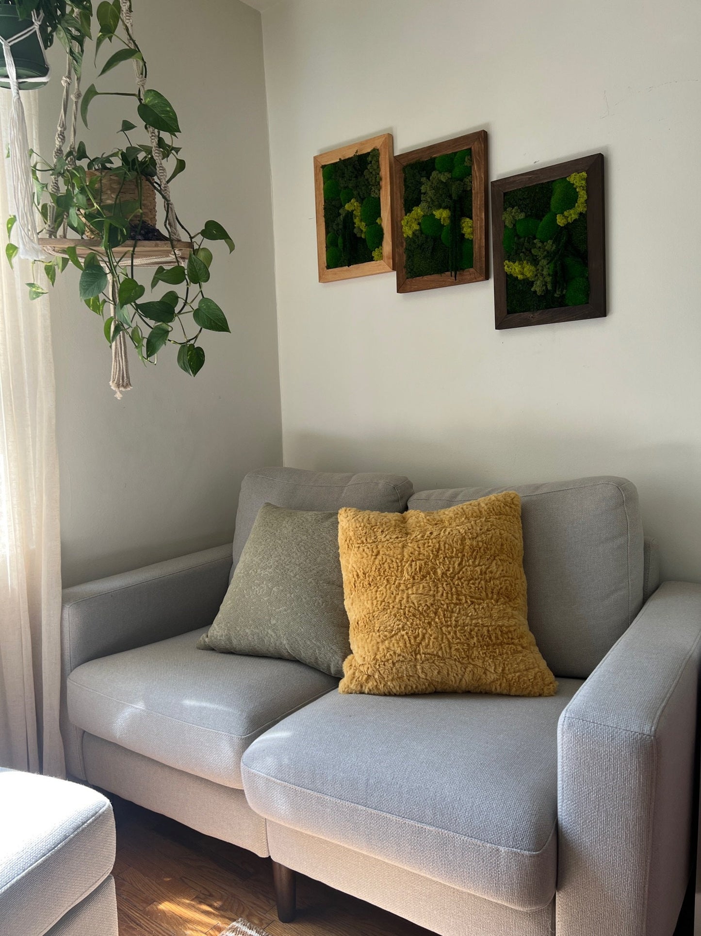 Preserved Reindeer Moss Wall Art: Rectangle Wood Frame (12x16) | USA - TARIFF FREE