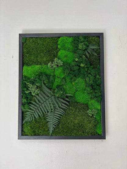 Moss Wall Art | Preserved Moss Framed | Moss Wall Decor | Pole Moss Sheet Moss and Fern with Reindeer Moss