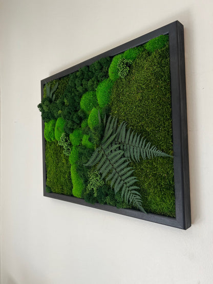 Preserved Moss Wall Art: Reindeer Moss & Fern Framed Decor | USA - TARIFF FREE
