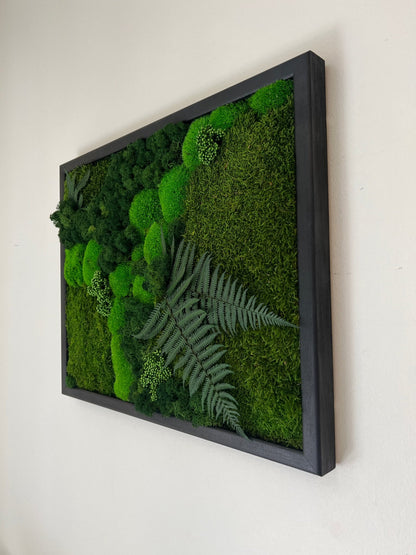 Preserved Moss Wall Art: Reindeer Moss & Fern Framed Decor | USA - TARIFF FREE