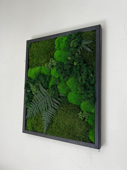 Moss Wall Art | Preserved Moss Framed | Moss Wall Decor | Pole Moss Sheet Moss and Fern with Reindeer Moss