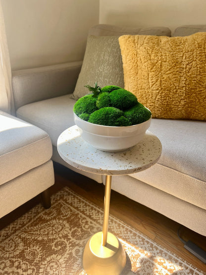 Preserved Pole Moss Centerpiece: Ceramic Bowl, Green Moss Decor | USA - TARIFF FREE