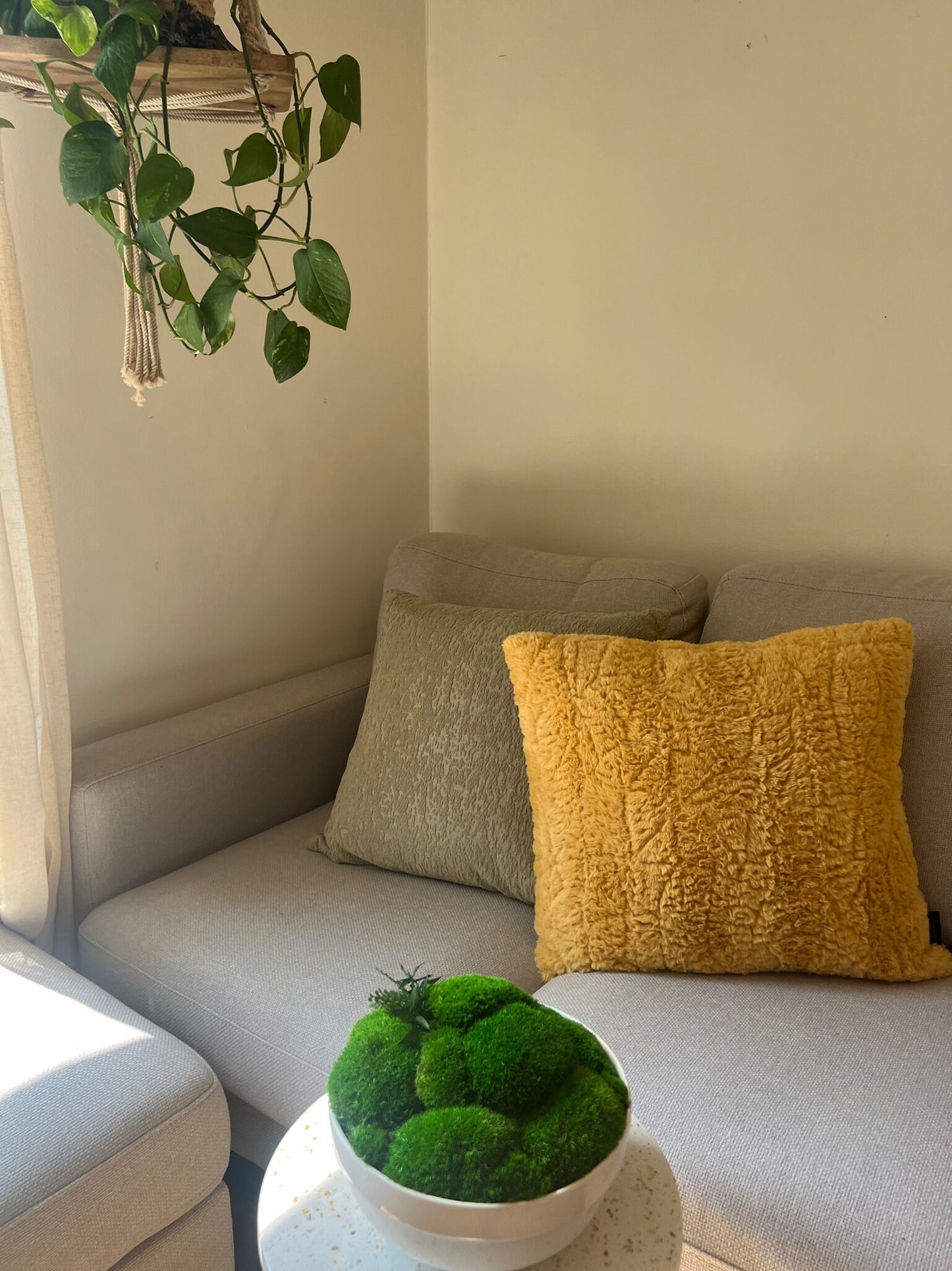 Preserved Pole Moss Centerpiece: Ceramic Bowl, Green Moss Decor | USA - TARIFF FREE