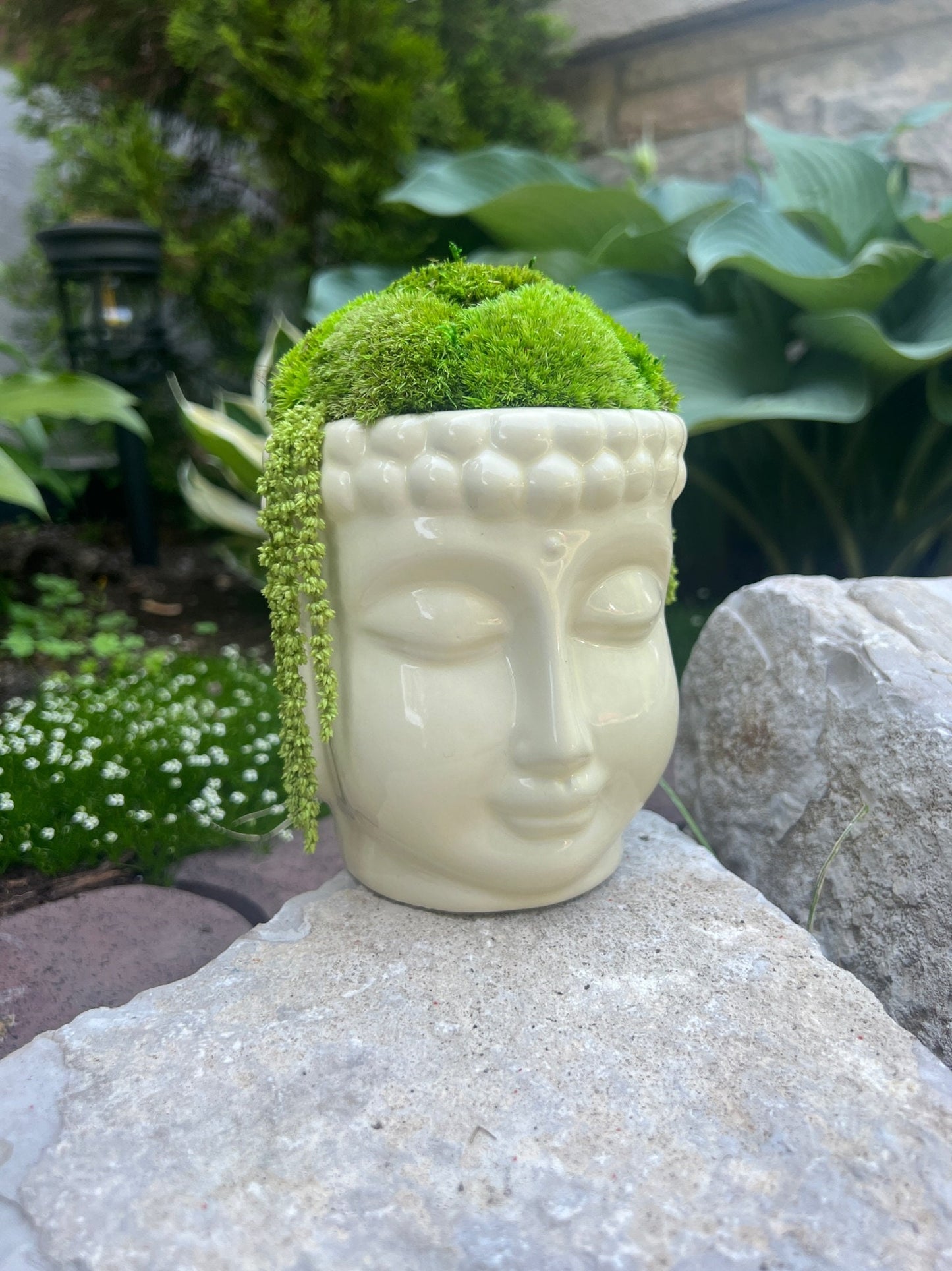 Moss Centerpiece Buddha Bowl | Pole Moss | Preserved Fern | Ceramic Centrepiece Bowl | Gift | Wedding Centrepiece