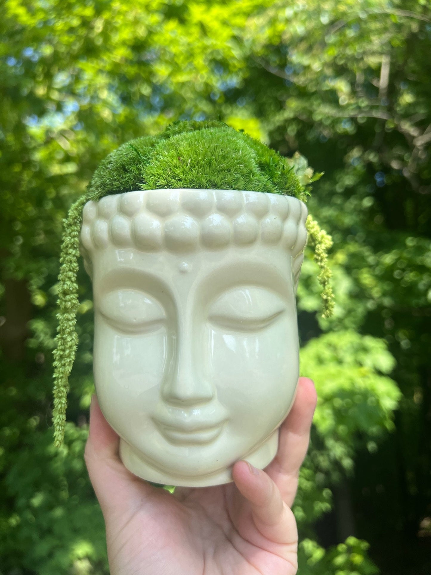 Preserved Moss Centerpiece: Buddha Bowl with Fern | USA - TARIFF FREE