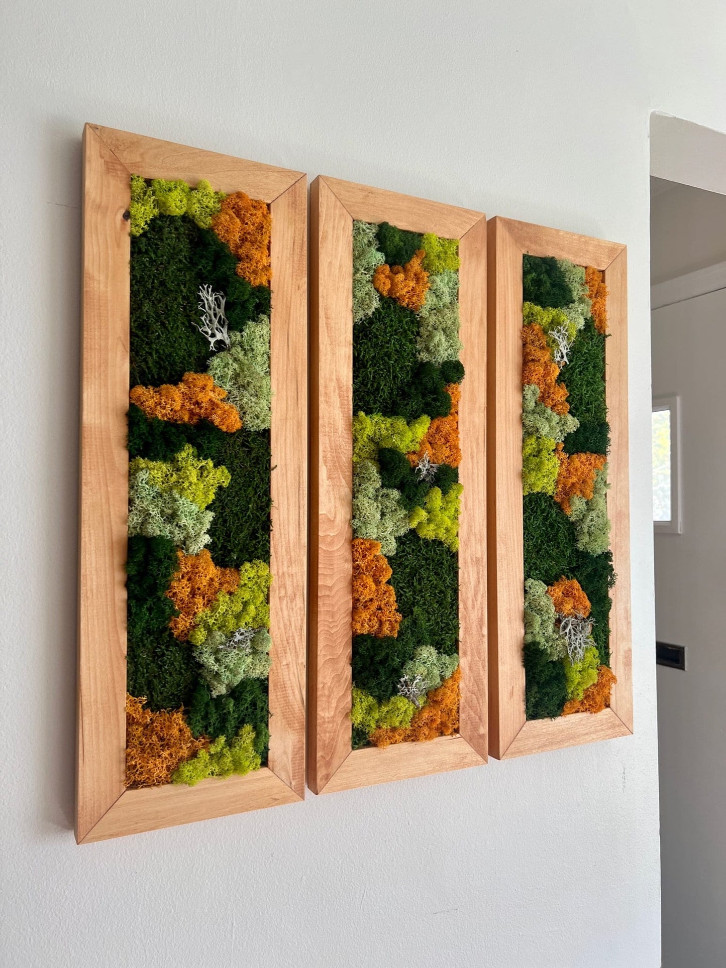 Framed Preserved Reindeer Moss Wall Art: Rectangle Set | USA - TARIFF FREE