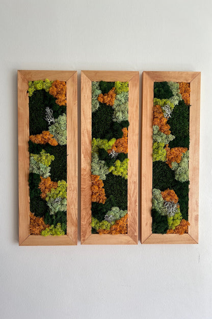 Framed Preserved Reindeer Moss Wall Art: Rectangle Set | USA - TARIFF FREE