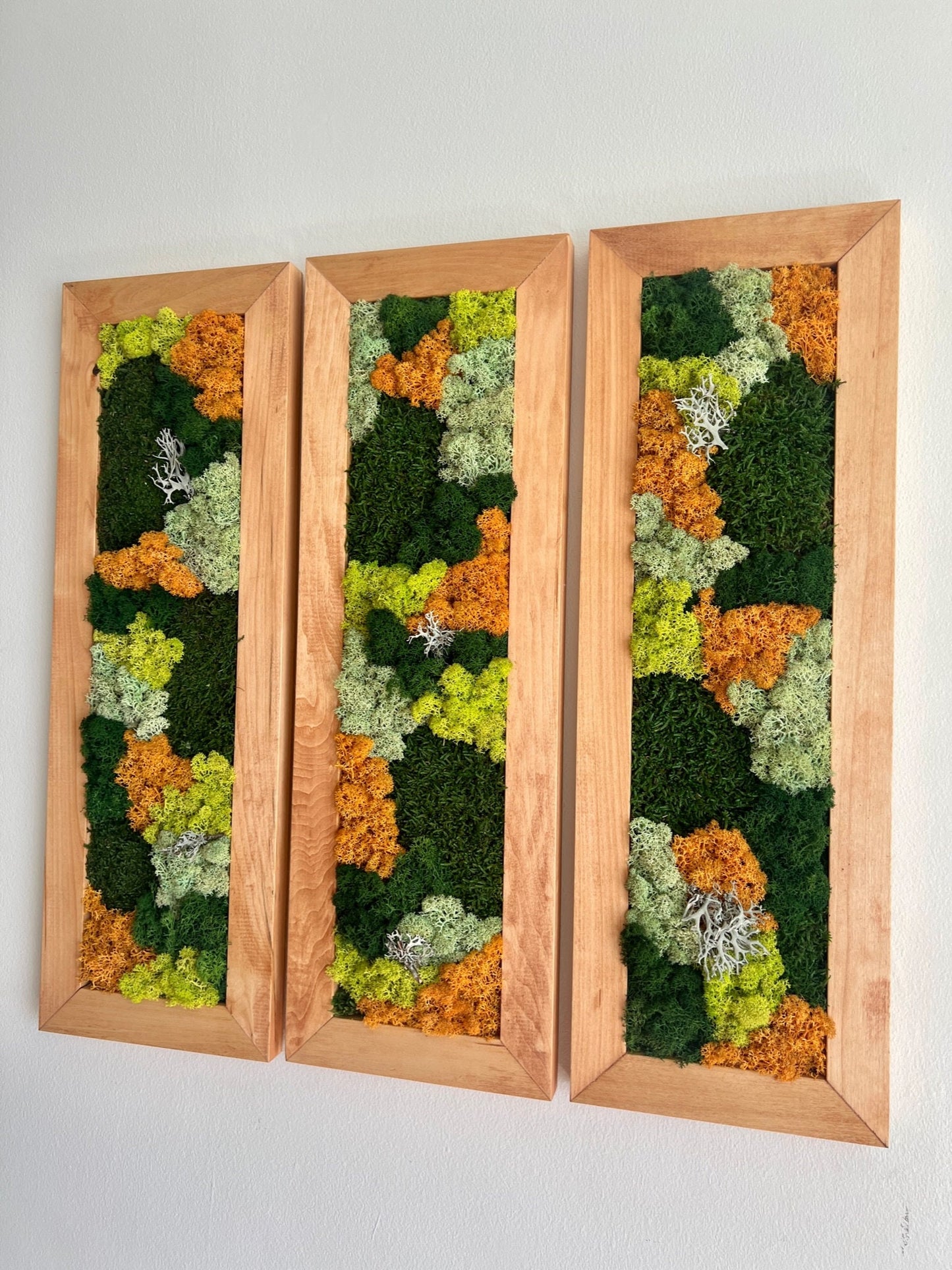 Framed Preserved Reindeer Moss Wall Art: Rectangle Set | USA - TARIFF FREE