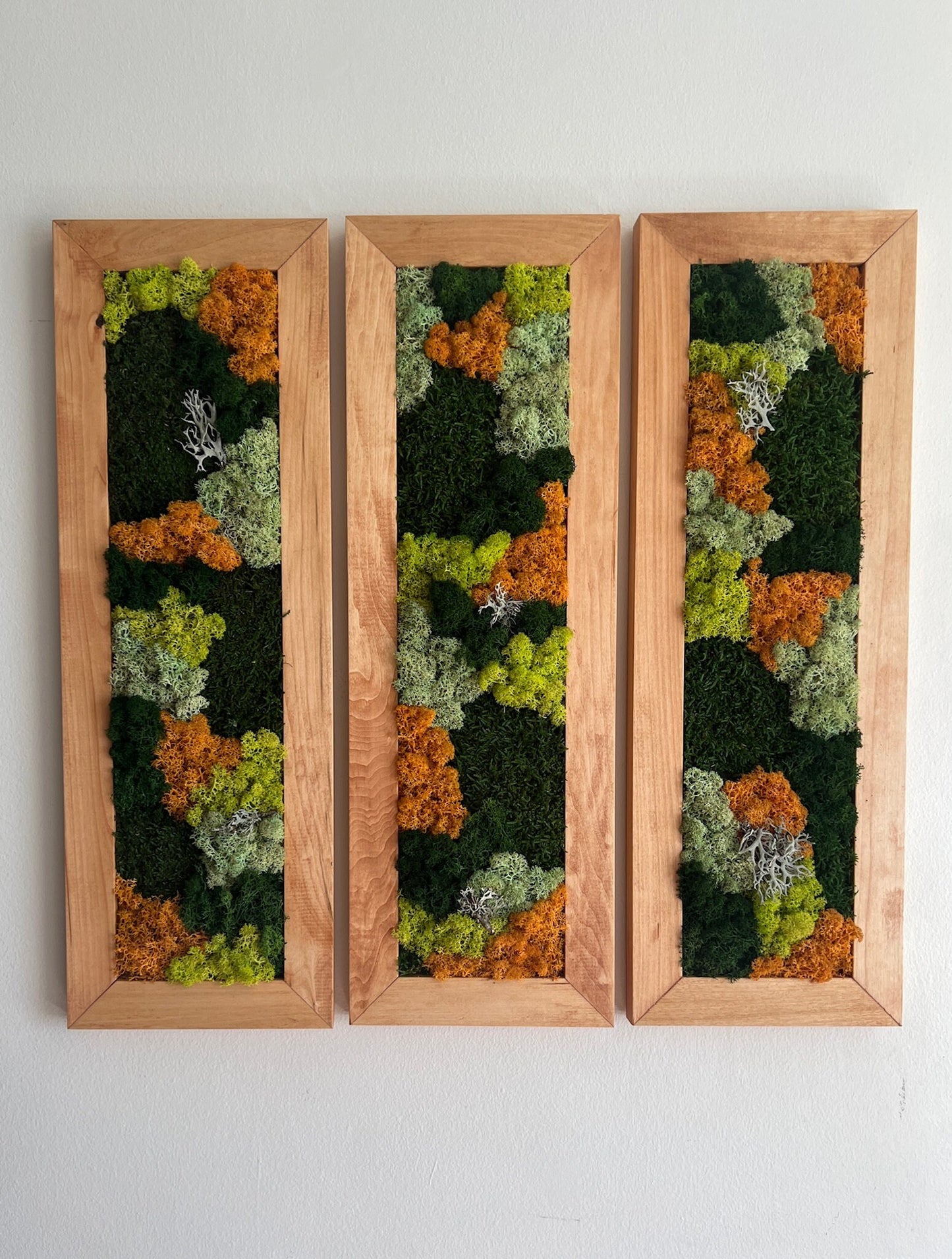 Framed Preserved Reindeer Moss Wall Art: Rectangle Set | USA - TARIFF FREE
