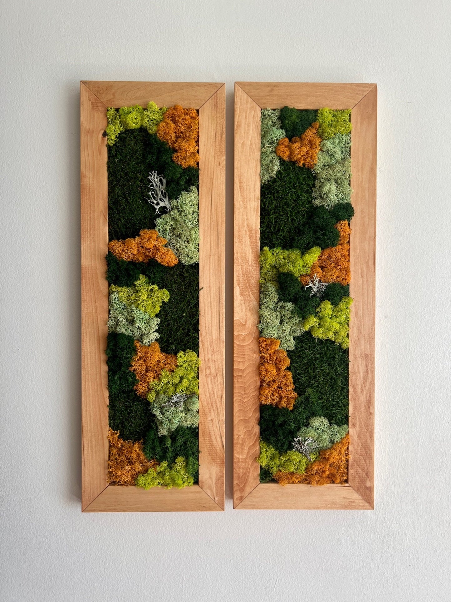 Framed Preserved Reindeer Moss Wall Art: Rectangle Set | USA - TARIFF FREE