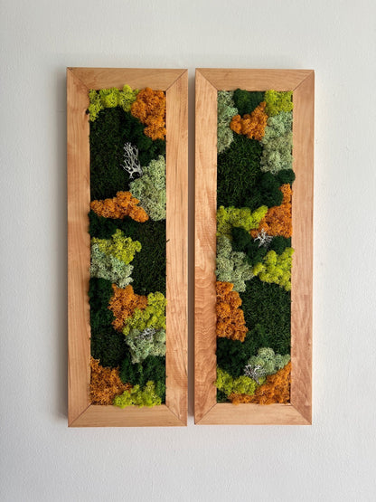 Framed Preserved Reindeer Moss Wall Art: Rectangle Set | USA - TARIFF FREE