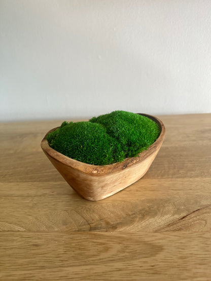 Preserved Pole Moss Centerpiece | Olive Wood Bowl, Home Decor