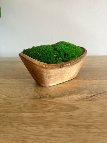 Preserved Pole Moss Centerpiece | Olive Wood Bowl, Home Decor